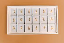 Load image into Gallery viewer, Initial Charms